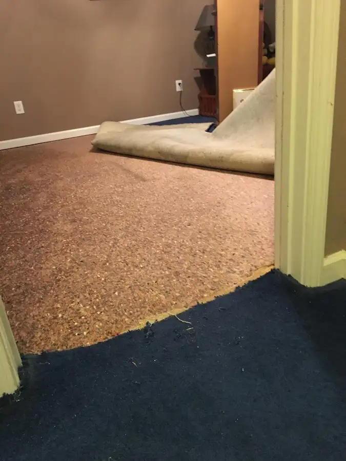 Carpet pad removal revealing water damage during Drying & Dehumidification in Norway