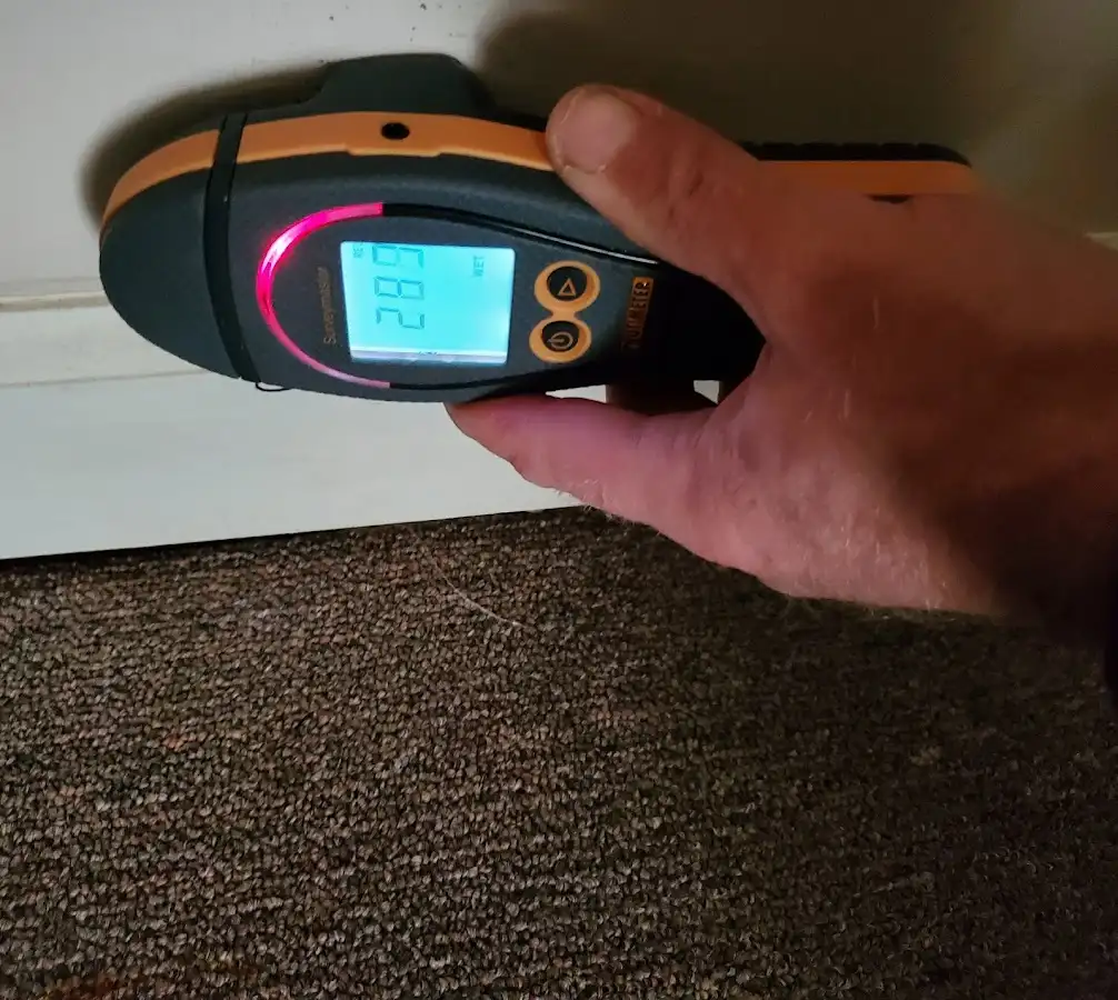 Moisture detection at baseboard during Mold Inspection & Testing in Norway